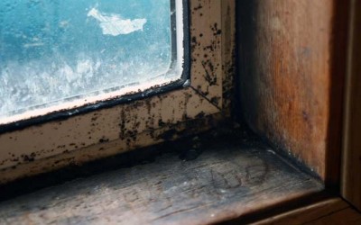 How do I reduce mould on my windows?